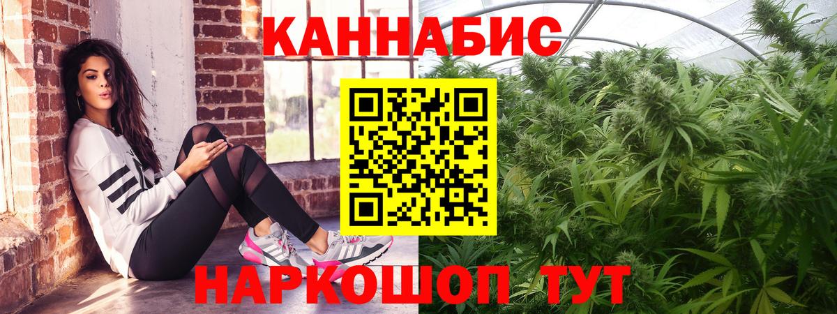 Бошки Шишки конопля  Канабис марихуана  Новодвинск  Вход с VPN 